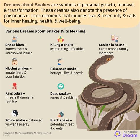 The Symbolism of a Snake in a White Bowl Dream